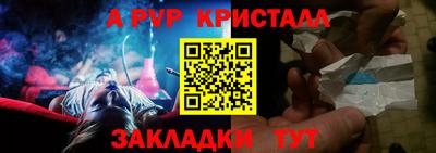 шишки Кингисепп