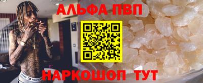 шишки Кингисепп