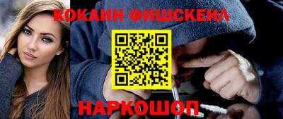 шишки Кингисепп