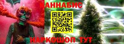шишки Кингисепп